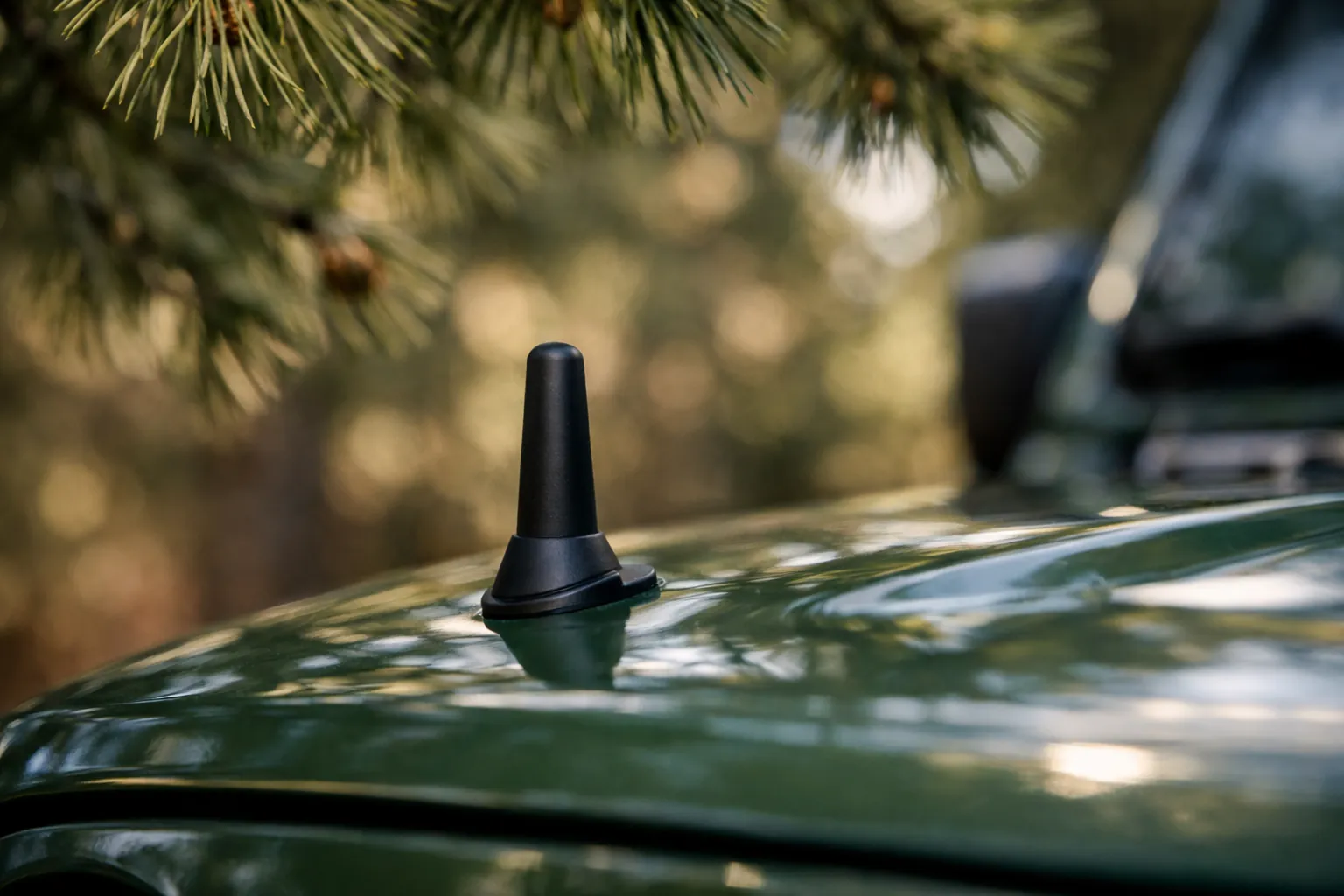A short stubby antenna on a vehicle hood under pine branches